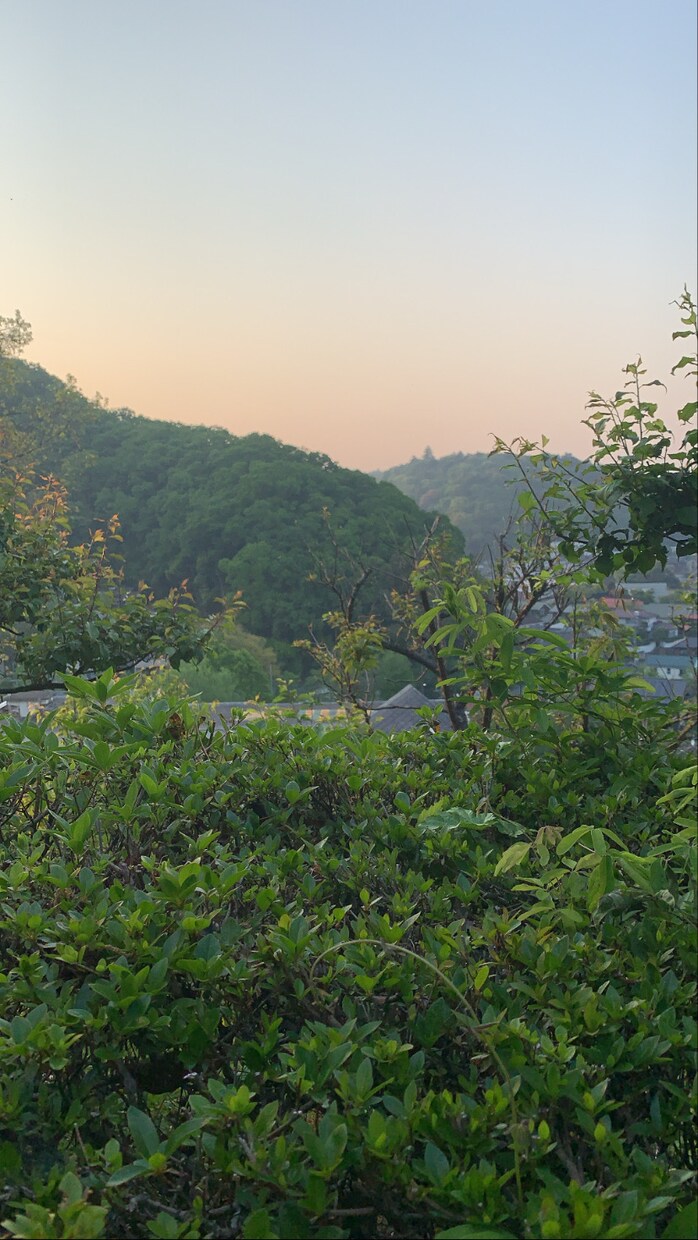 高尾山の美しい景色お届けします 高尾山の美しい景色を是非ご覧ください。 イメージ1