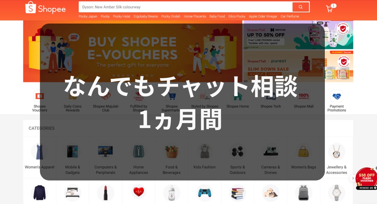 Shopee越境EC 1ヶ月チャットサポートします 不安即解決！Shopeeチャットで迅速サポート イメージ1