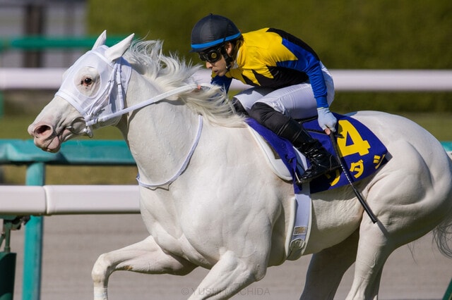 ギャンブル依存症の方へ断ち切り提案します 競馬、競輪、競艇、パチンコで借金してる人へ送ります。 イメージ1