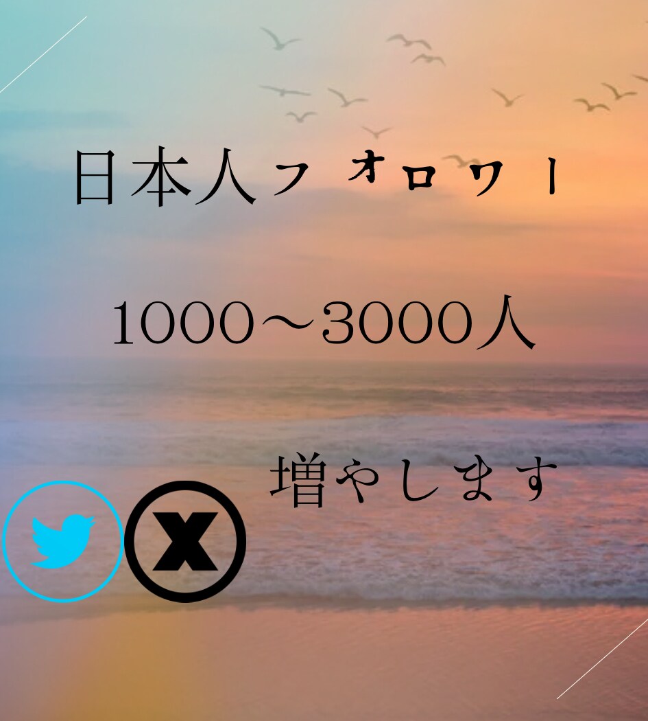 2月末限定価格ココナラ最安値フォロワー増やします 約2万インプの垢で拡散しフォロワーupさせます イメージ1