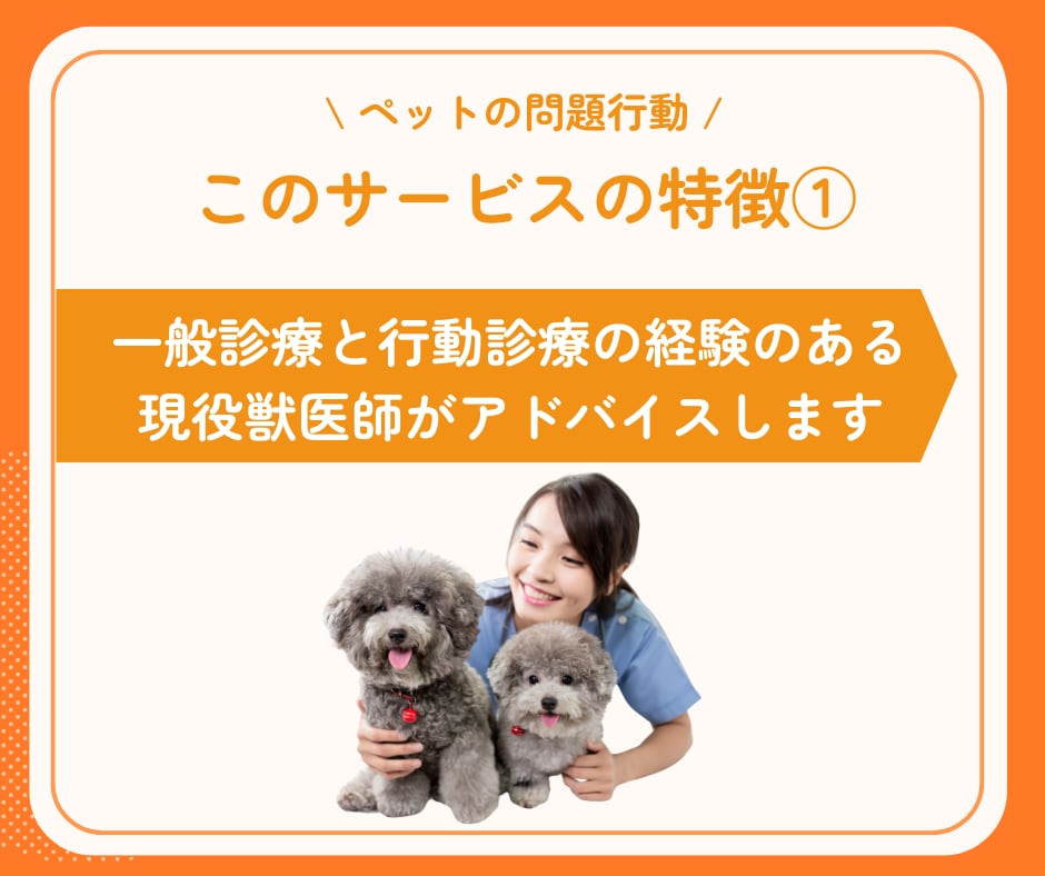 犬の問題行動を行動専門獣医師が徹底サポートします 吠え・噛み・分離不安…|自力で解決できないと感じた飼い主様へ イメージ5
