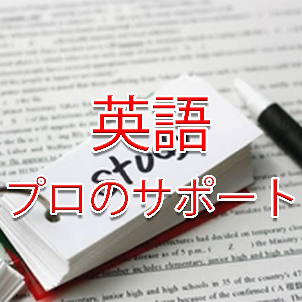 小・中・高生向けの【英語】サポートをします 最短30分！納得いくまでプロの技術で丁寧に対応いたします！ イメージ1