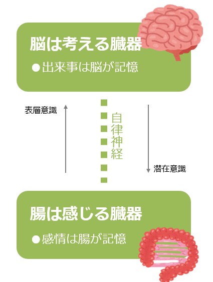 モヤモヤ、イライラの原因を腸が教えてくれます 腸相診断で心理状態や性格のクセ、深層意識のパターンを読み解く イメージ3