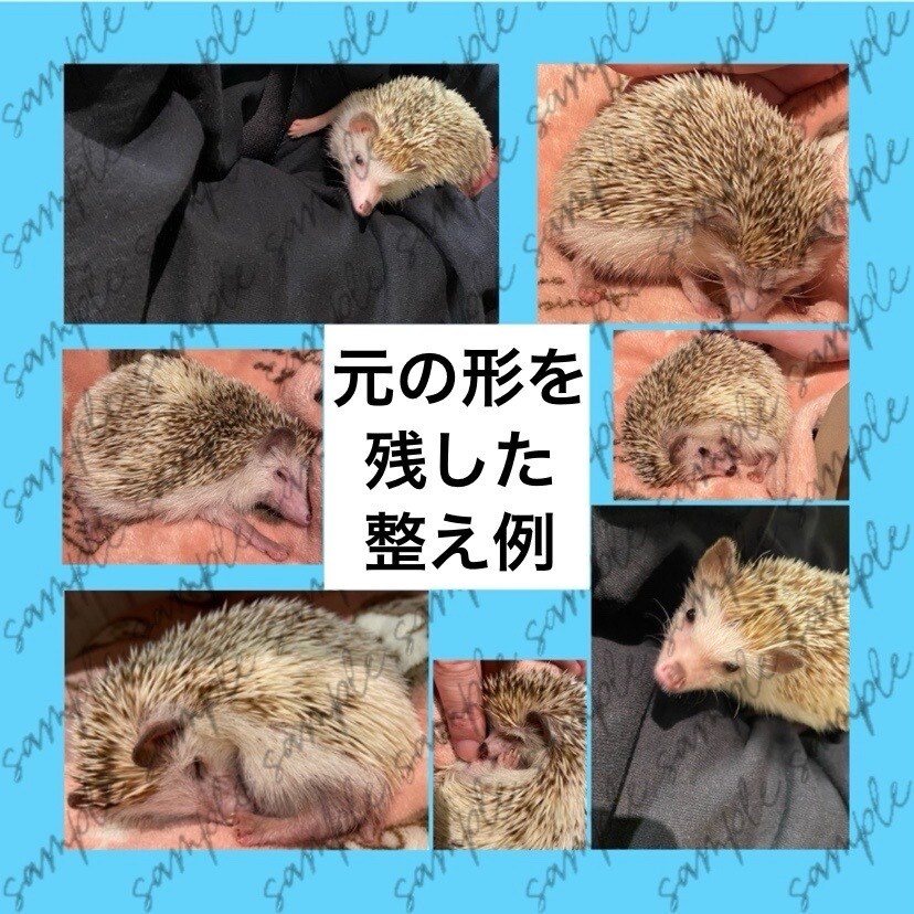複数の写真を１枚にまとめてレイアウトします 日常／商品紹介／告知／推し活など用途に合わせ幅広く対応します イメージ8