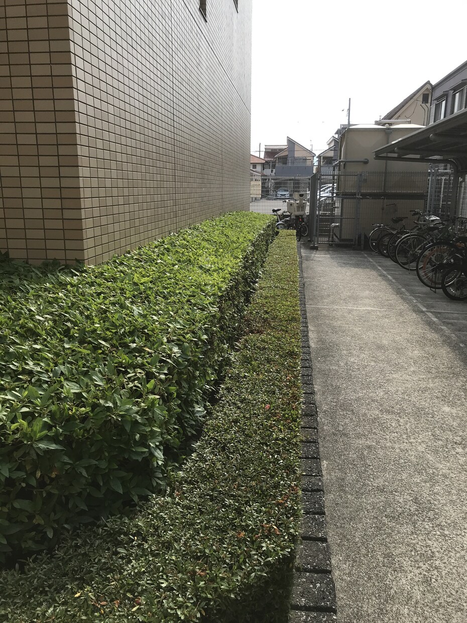 お庭のお悩み解決致します 資格一級造園技能士一級造園施工管理技士職業訓練指導員造園科 イメージ1