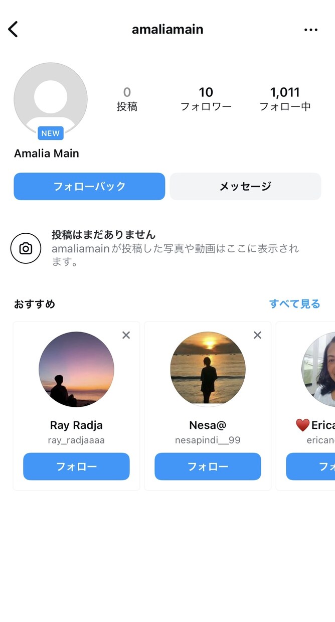 インスタグラム【低品質】フォロワー増やします 2000人増加//減少保証なし//数量選択可能// イメージ2