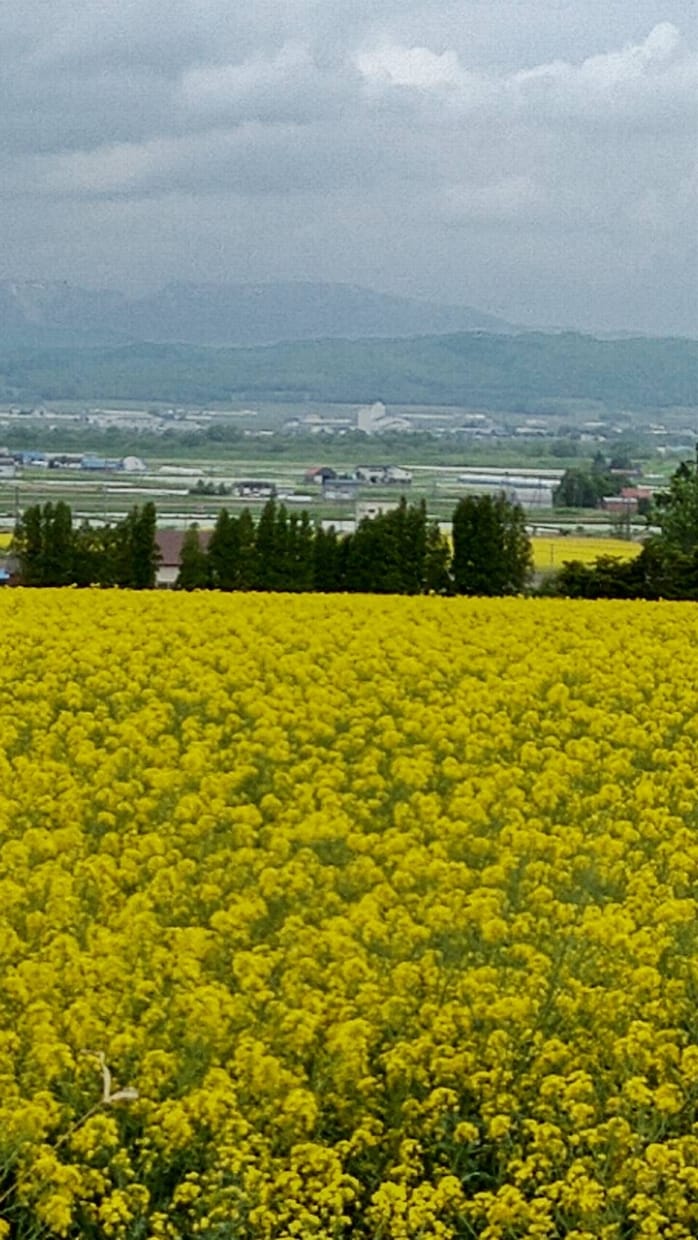 メンタルケアカウンセラーです。ぜひお待ちしています 介護福祉士は23年勤務し、色々な経験を経てカウンセラーです イメージ2