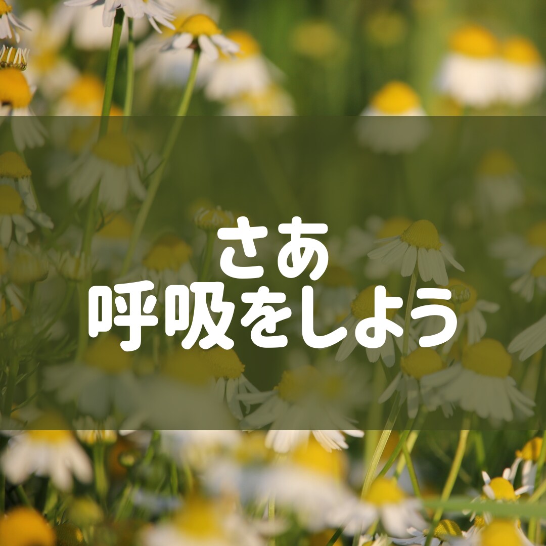 ハンドヒーリングで心もからだもリフレッシュします ♡指ヨガと呼吸法でリラックスしましょう♪ イメージ1