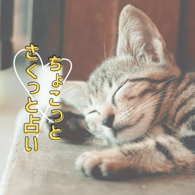 ちょこっと知りたいことをさくっと占います 短めに知りたいことだけをピンポイントで。 イメージ1