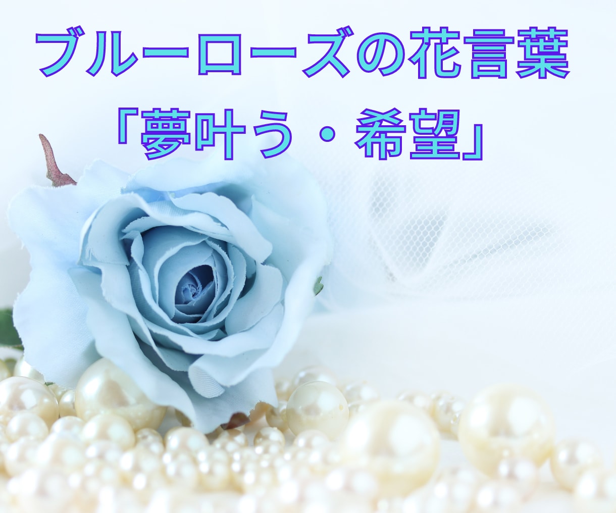 苦しかった親子関係・生きづらさに向き合います AC/毒親/自己/悩み/対人関係/犠牲/トラウマ/痛み/依存 イメージ9