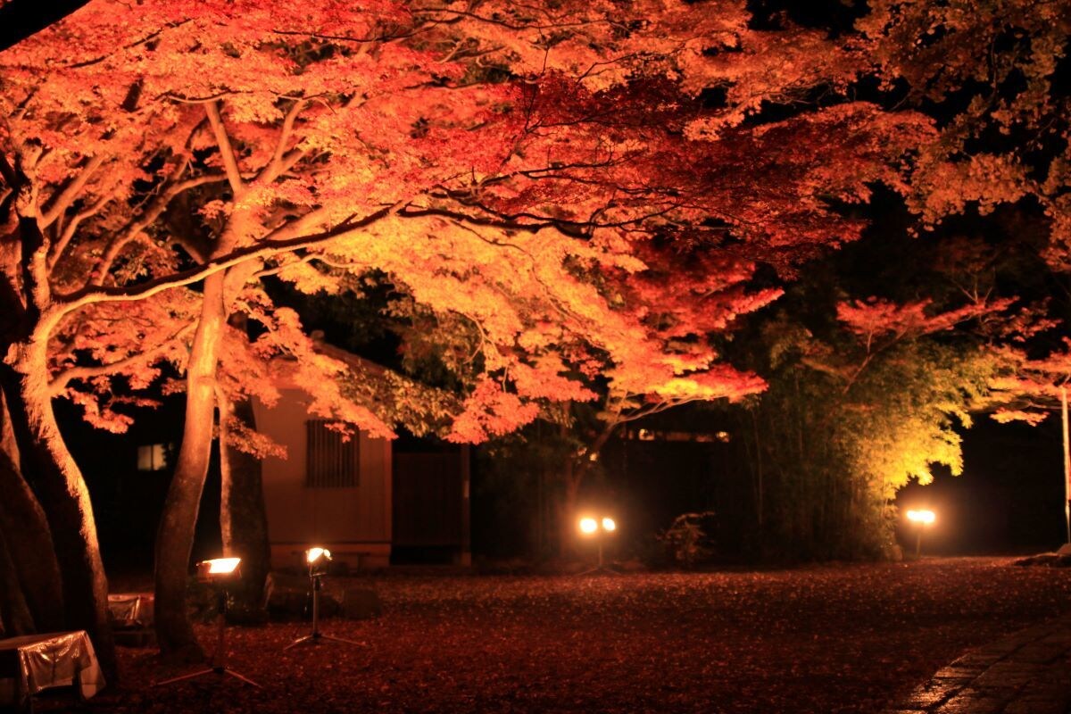 滋賀への旅行のご相談に乗ります 長年の滋賀在住者がサポートさせて頂きます! イメージ7