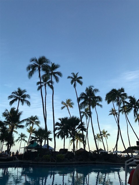 どんな些細な事でも・なんでもお話しをお聞き致します ☆お話ししている中で、違うかなと思ったら電話をお切り下さい イメージ1