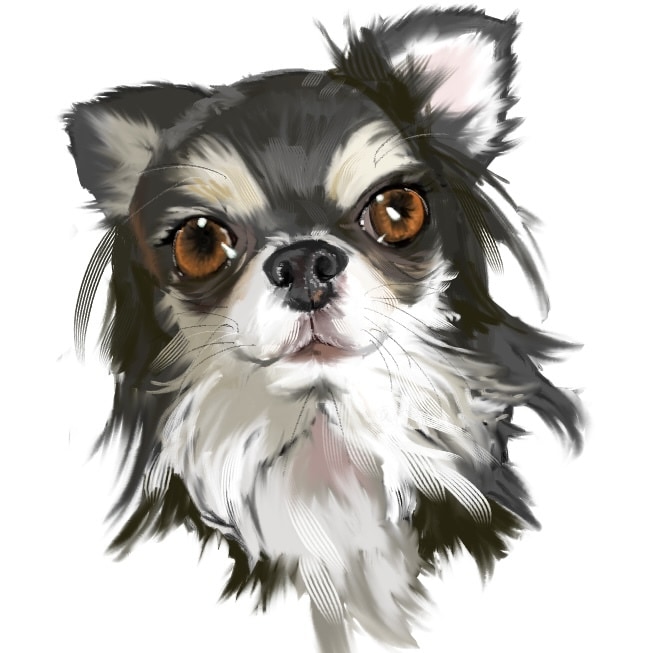 リアル＆可愛い♡愛犬デフォルメ絵を描きます リアルさと可愛らしさを両立させたデフォルメに仕上げます イメージ1