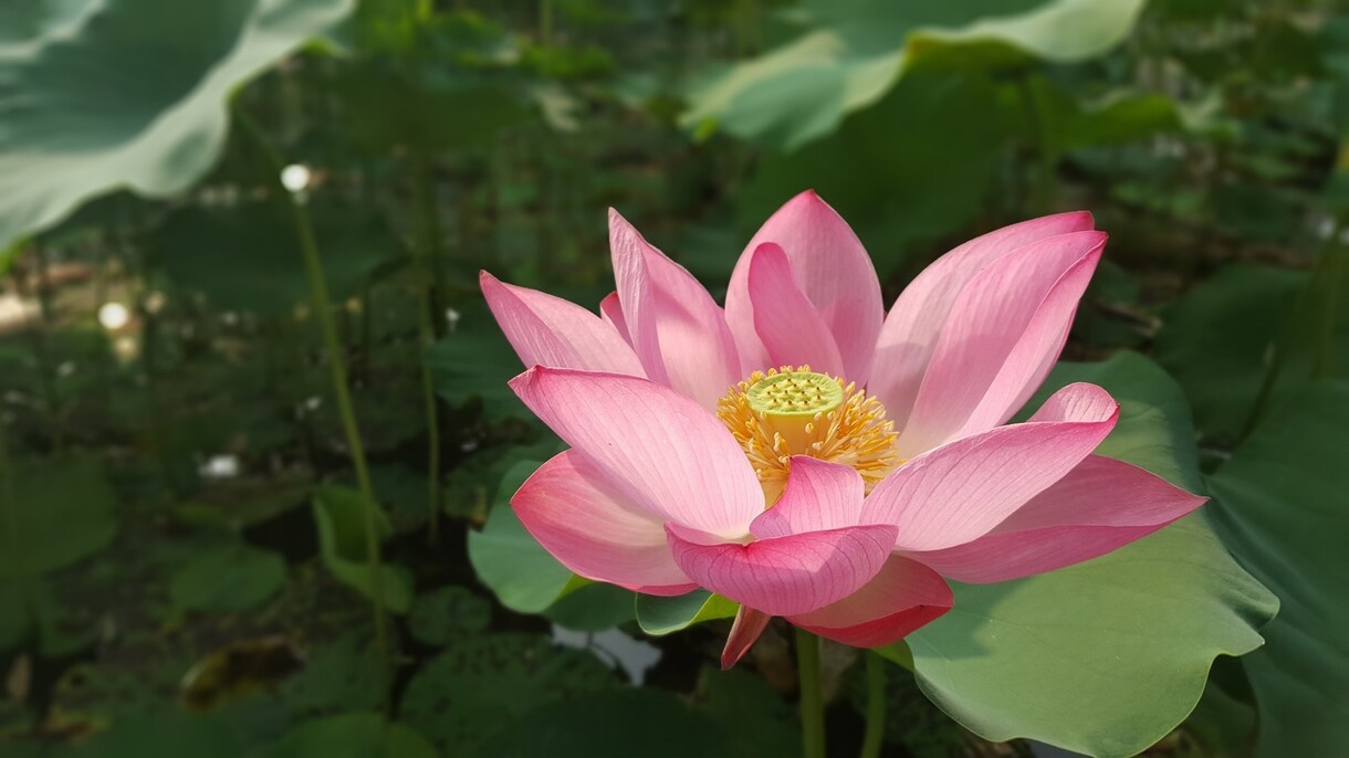 愚痴でも自慢話でも　あなたのお話を聴きます 傾聴は得意です。話して放す、心の解放をお手伝い。 イメージ1