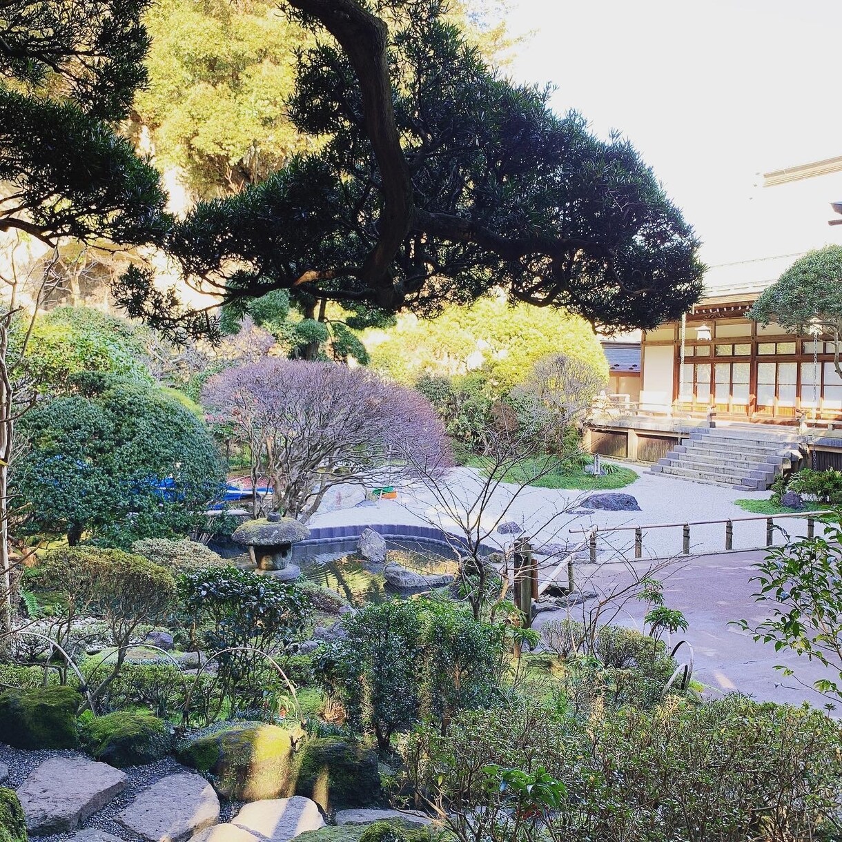 スマホで写真を撮ってます 良い風景様々な瞬間が撮れたらと思ってカメラ構えてます！ イメージ3