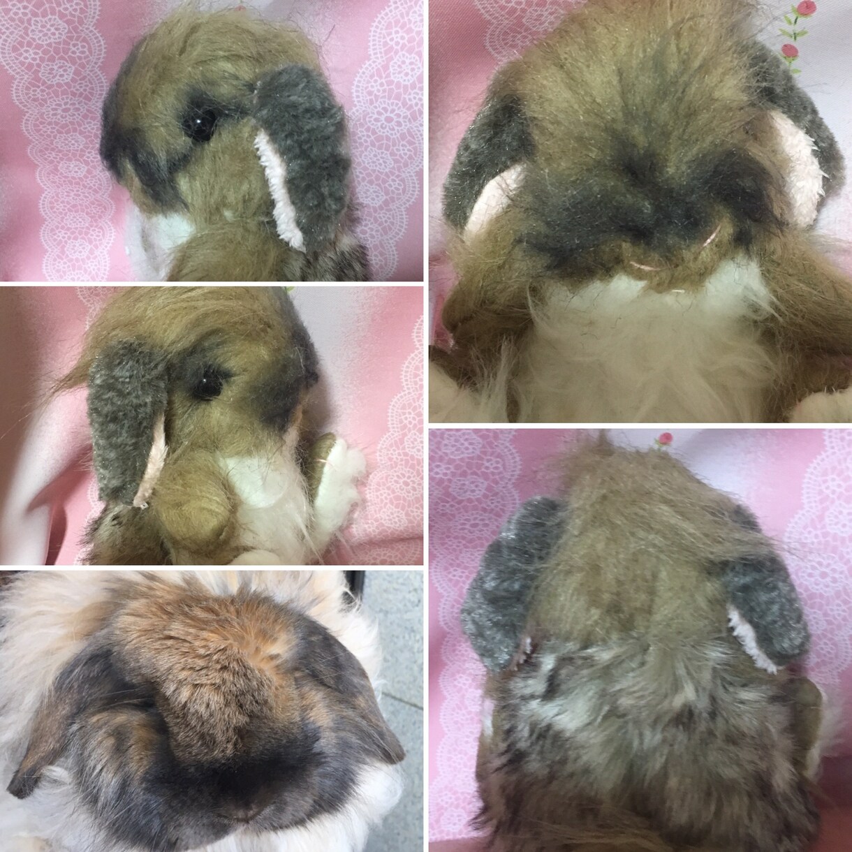 ペットのぬいぐるみ作ります 大切なペットのぬいぐるみをお作りします！ イメージ1