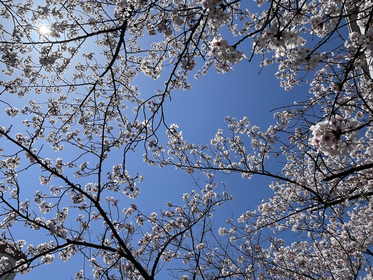 世界一優しい時間を提供させていただきます 悩み不安ストレス等、私に話して少しでも楽になりませんか？ イメージ6