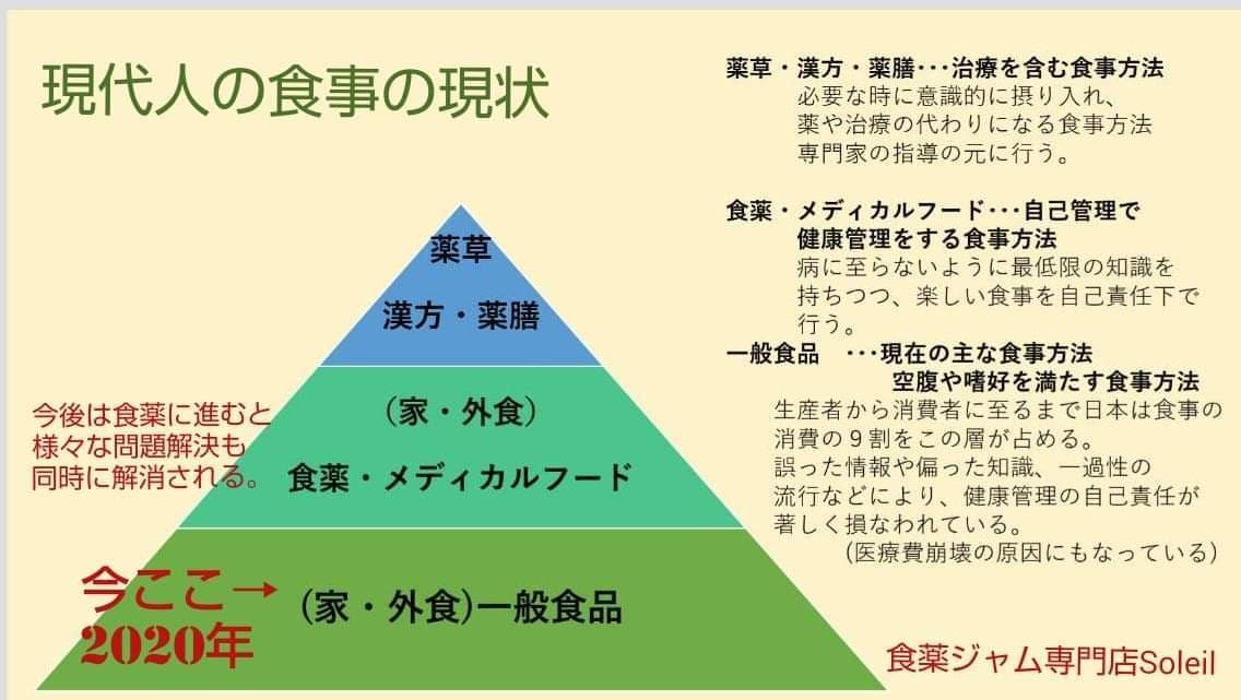 身体の声・欲している食べ物がわかるようになります 食薬ジャム専門店による免疫力UP講座　初級編① イメージ2