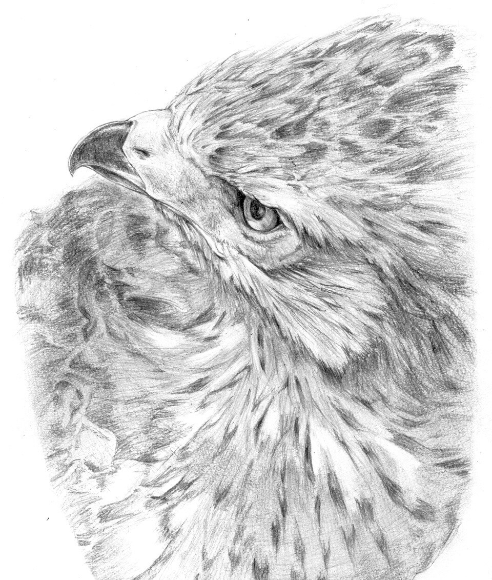 お絵描きします 鉛筆を使ってデッサンという名の絵を描きます イメージ5