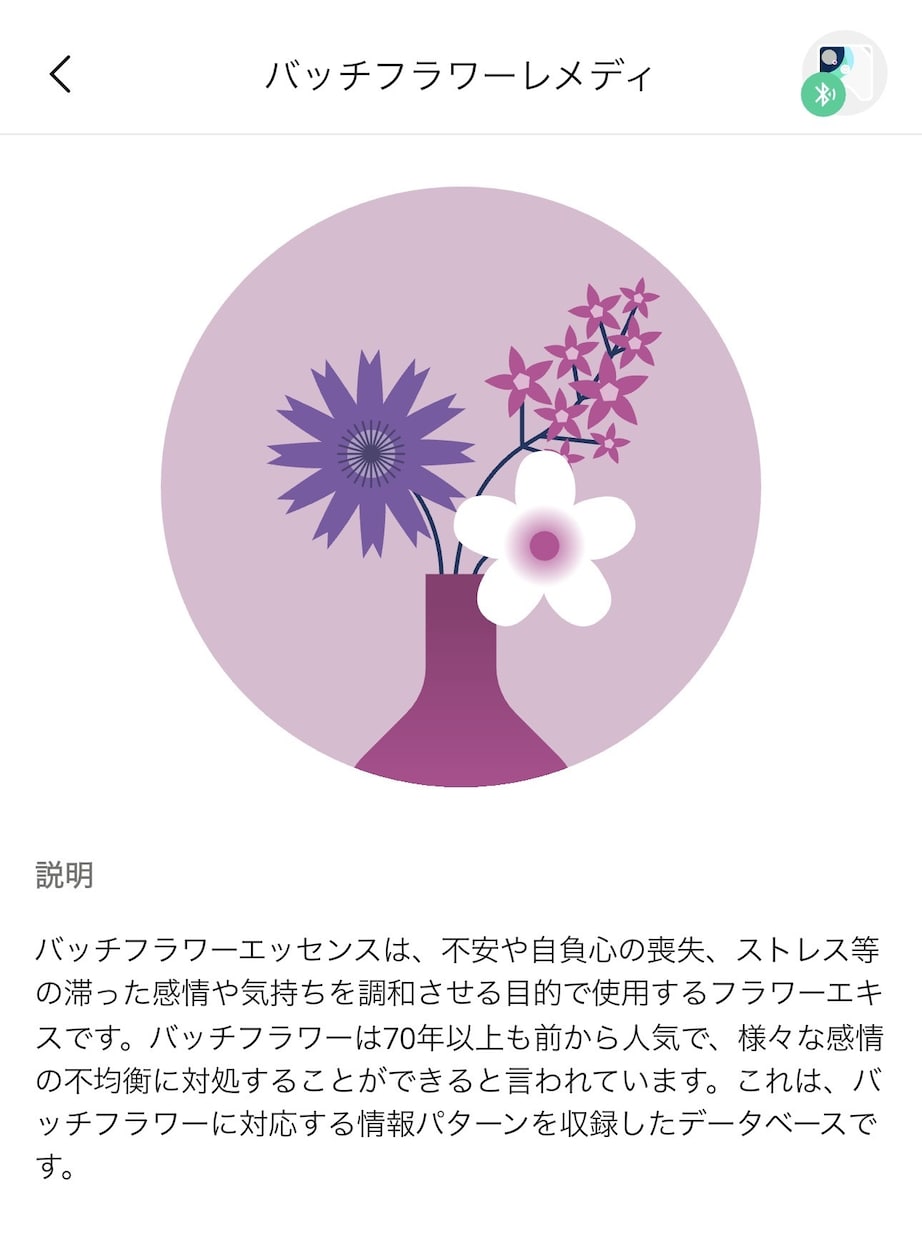 貴方にお勧めのバッチフラワーレメディをお教えします ドイツ発の波動調整器ヒーリーで分析し遠隔波動調整もかけます。 イメージ2
