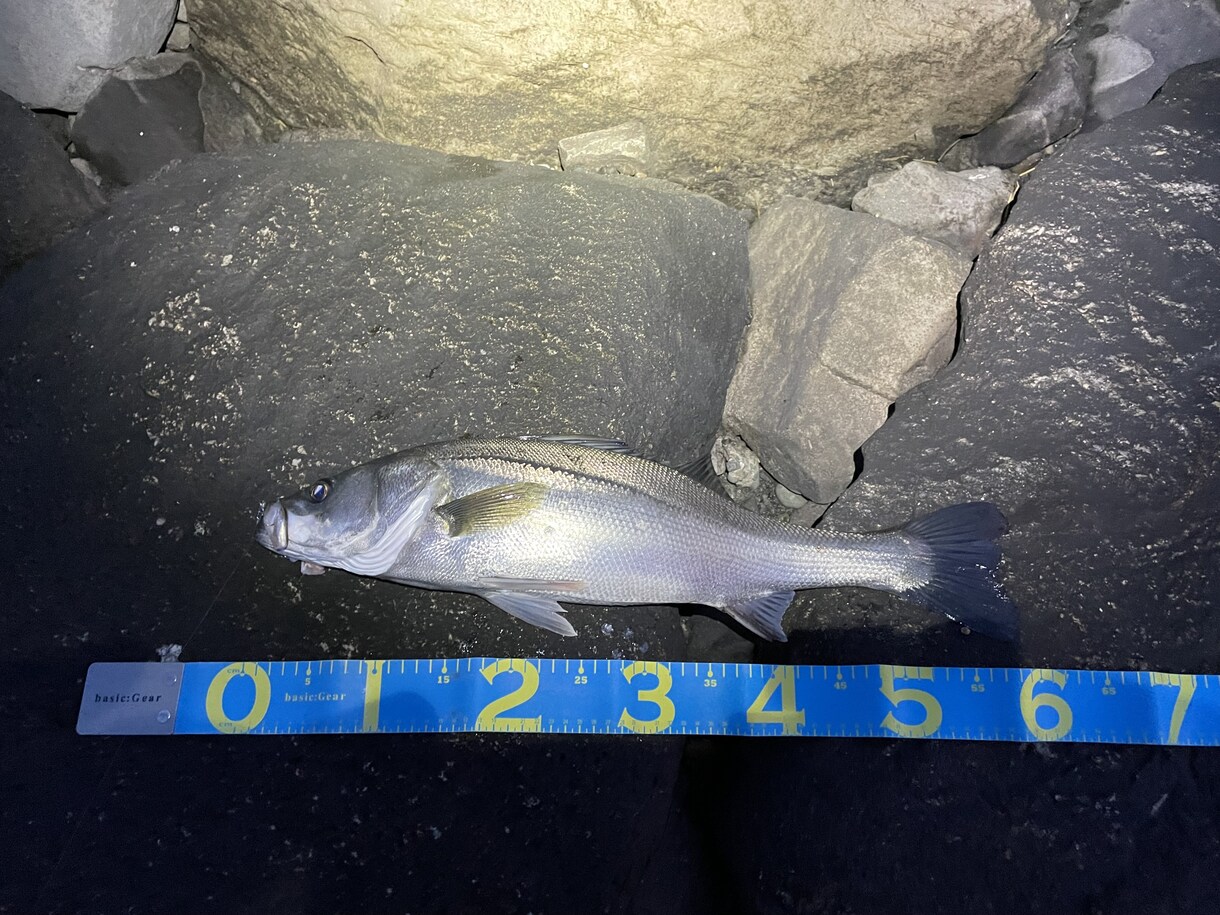 初心者向けのルアーフィッシング道具を選びます 1本のロッドで【なんでも釣りたい】欲張りさん必見です！ イメージ5