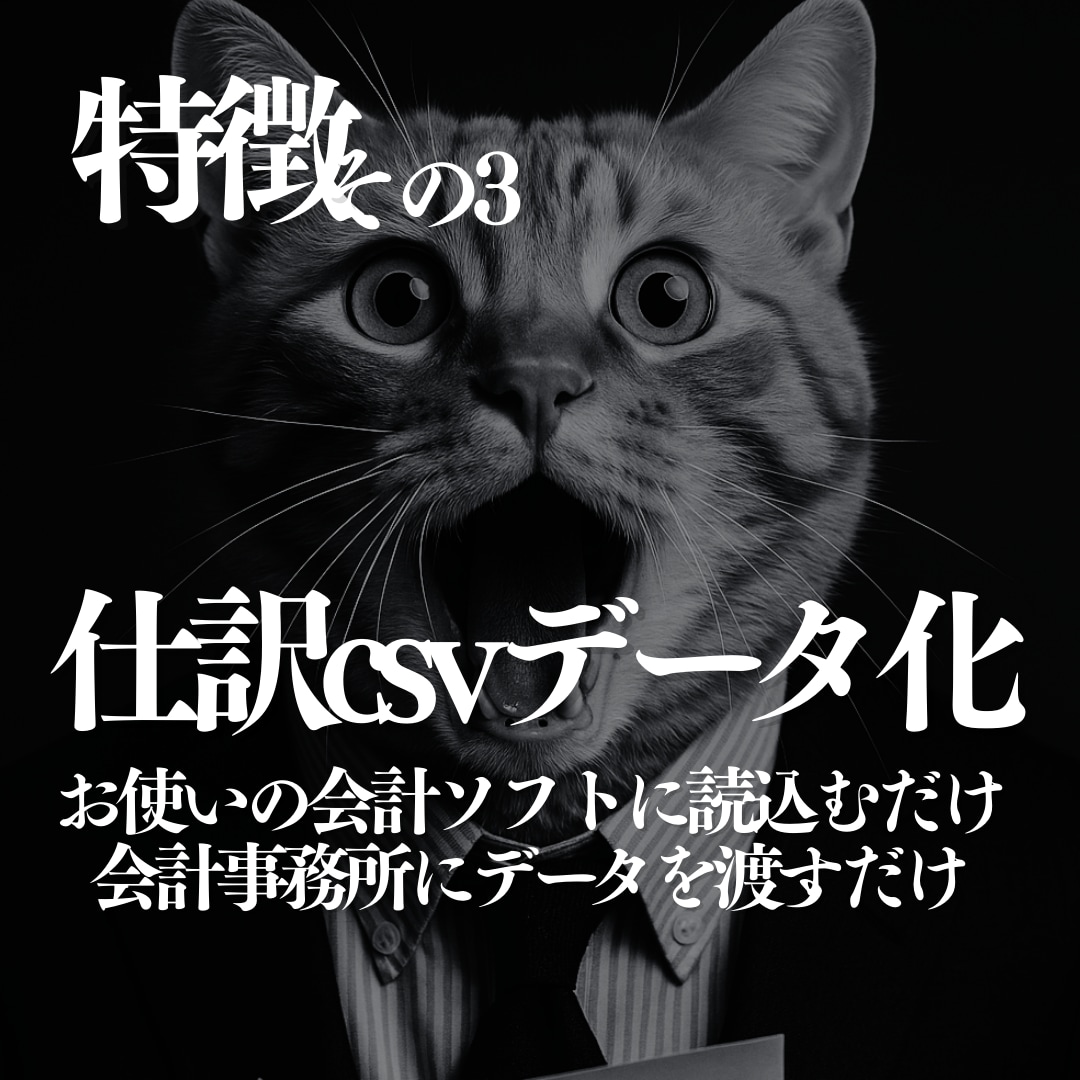整理不要の記帳代行を提供します 毎月の領収証の整理、帳簿付け、会計仕訳丸ごと請け負います。 イメージ4