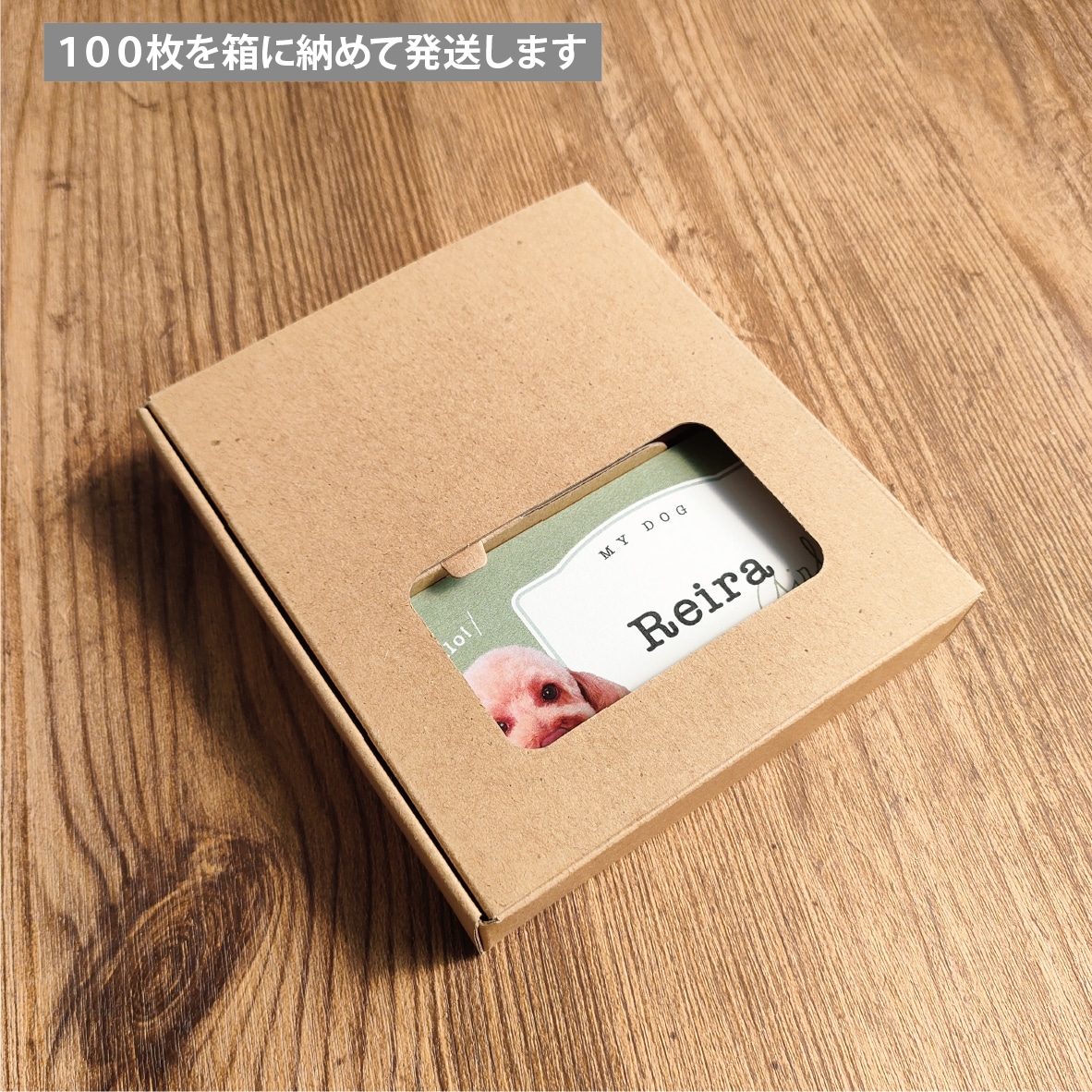 写真入り多頭ペット名刺をシンプルデザインで作ります グラフィックデザイナーにセミオーダー！両面印刷100枚送料込 イメージ8