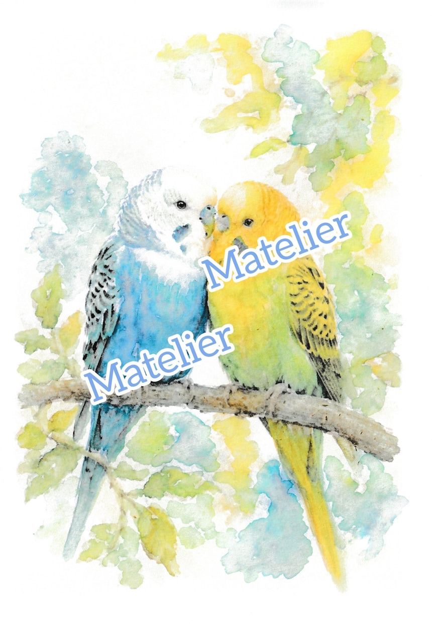 オーダーで動物の水彩似顔絵原画◎制作します 世界に一点の作品　特殊ブラシ使用の水彩画　インテリアにも。 イメージ7