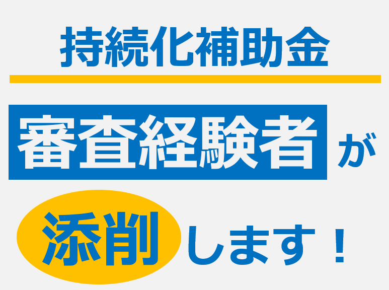 小規模事業者持続化補助金の申請書を【添削】します 「審査経験者」含む有識者チームで専門的視点からばっちり添削！ イメージ1