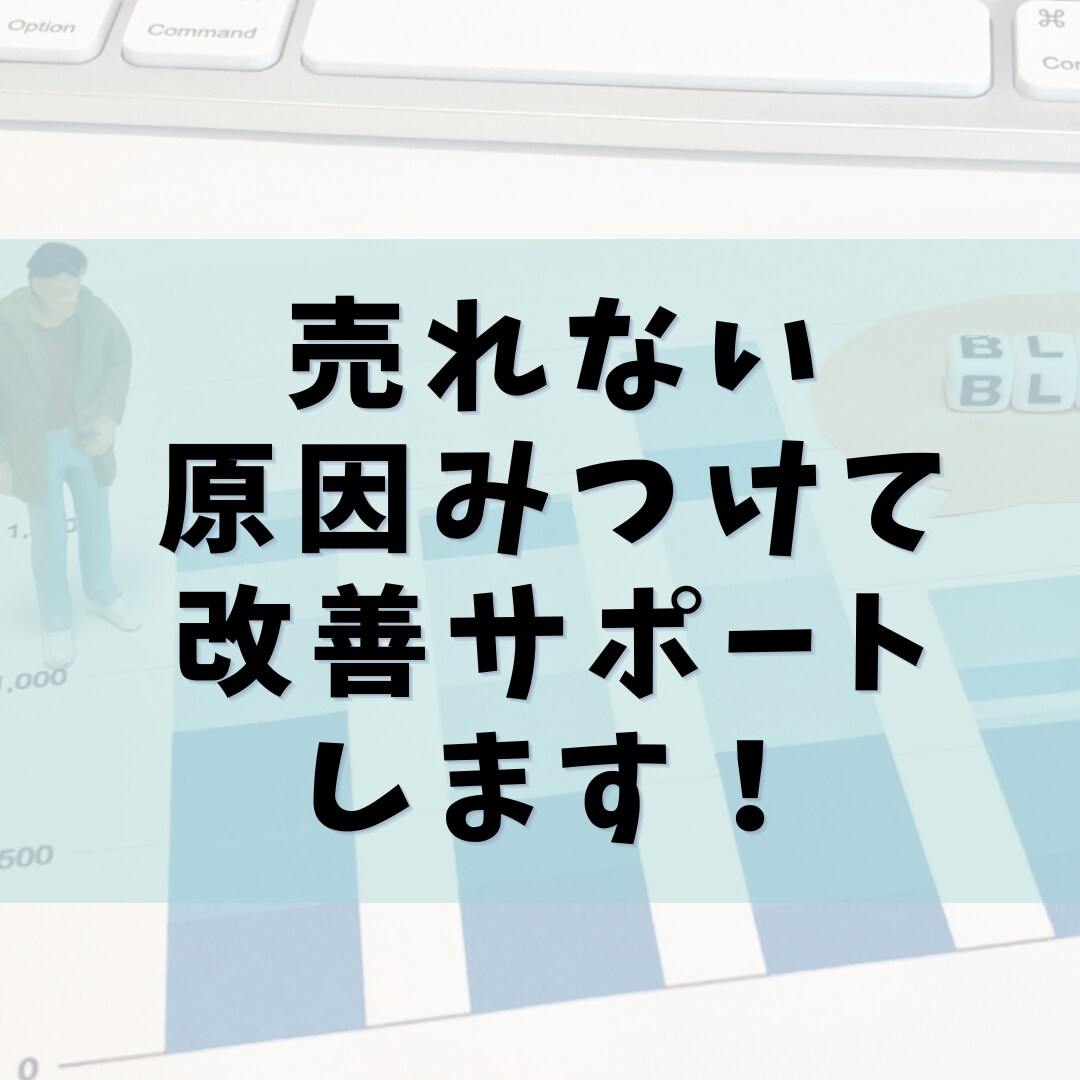 ブログで稼ぐ専門家が稼げないブログ記事添削します もう1人で悩まないで！あなたの記事の売れない原因を分析・改善 イメージ5