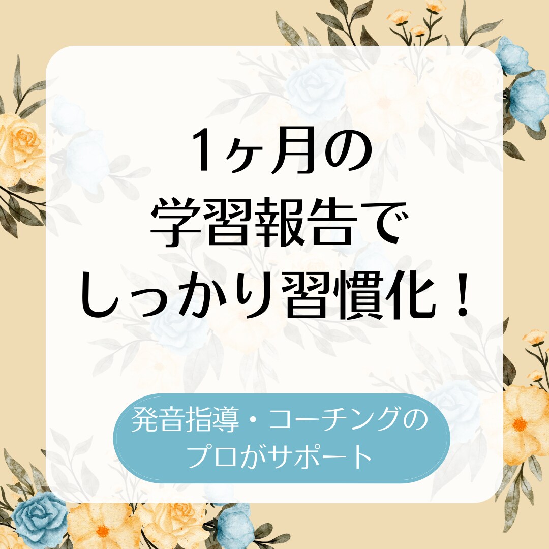 1ヶ月★学習報告にお返事します お悩みや質問対応含め、モチベーションを保つお手伝いをします！ イメージ1