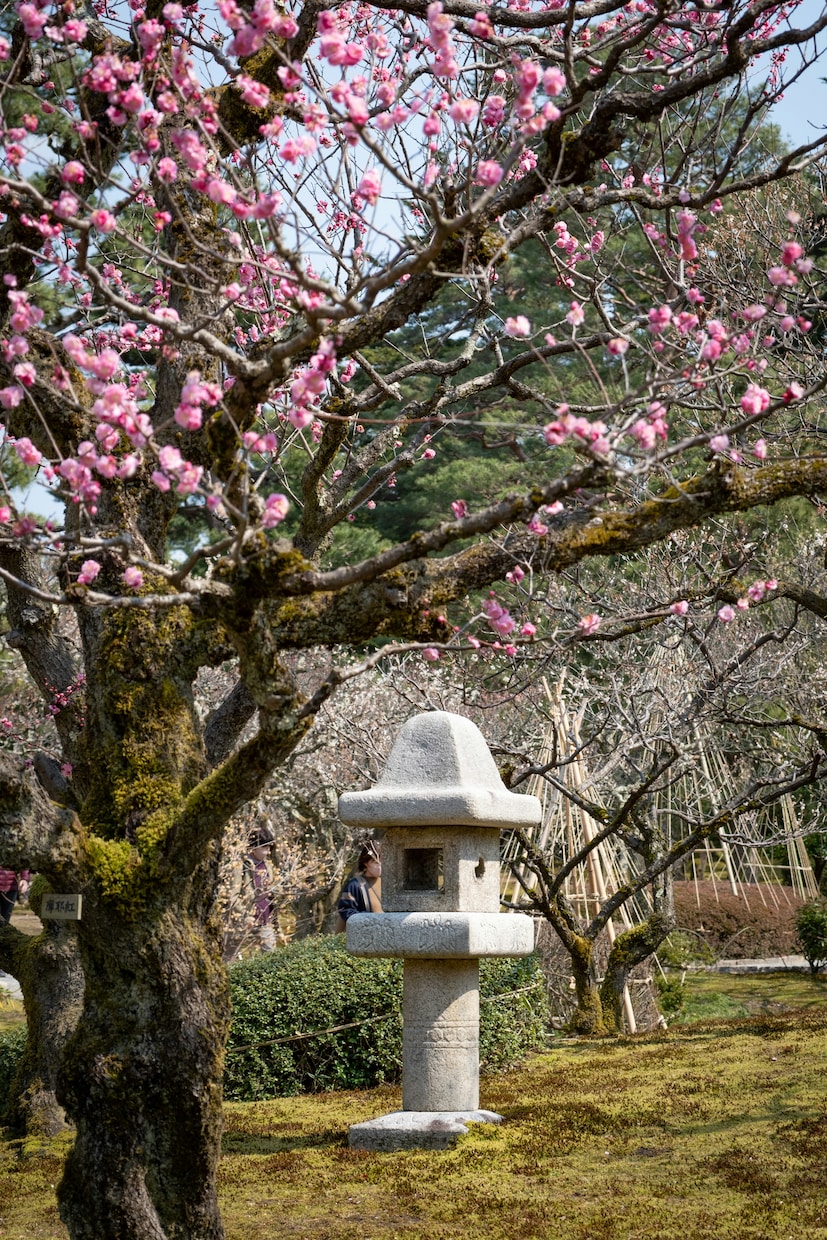 魂結び霊導鑑定で《本質の輝きと宿命》を霊視します 迷い続けた占いの果てに疲れた心へ──魂が選ぶ真実の未来を イメージ7