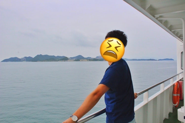 思い出写真をSNS映えPHOTOに変身させます 明るさ、彩度調整から不要箇所のなめらかな目隠し、青空加工等々 イメージ2