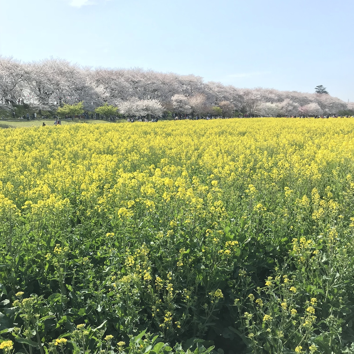 生死の境を越えた私があなたの心を否定せず傾聴します 孤独や辛い気持ちに寄り添います。どんな小さなお話でもどうぞ⁠ イメージ2