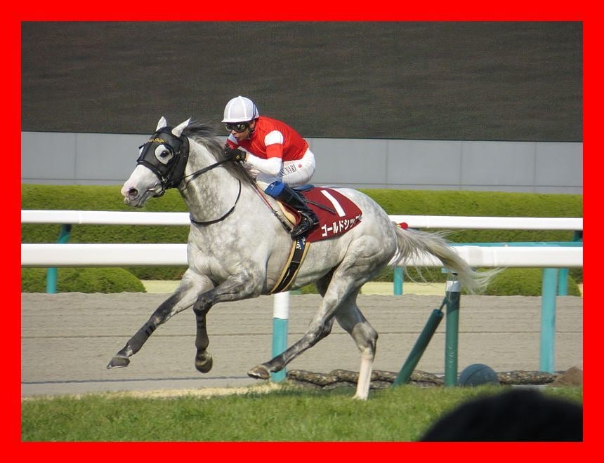 競馬の基本！馬券に絡む馬を教えます 競馬で勝つためには馬券
