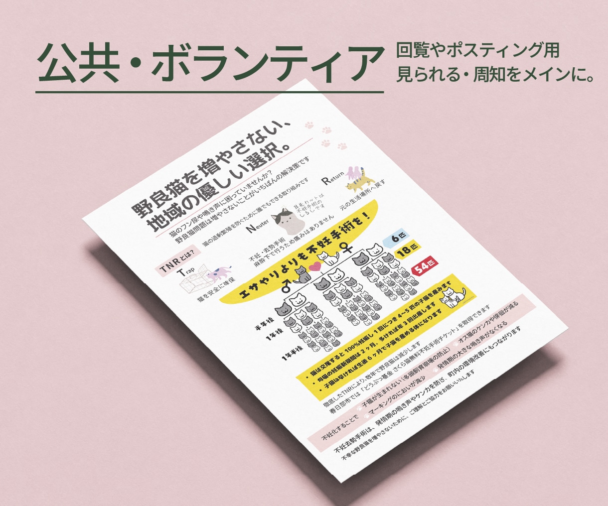 ターゲットに届く、選ばれるチラシをデザインします 見た目だけじゃない。伝わる理由のあるチラシ。 イメージ8