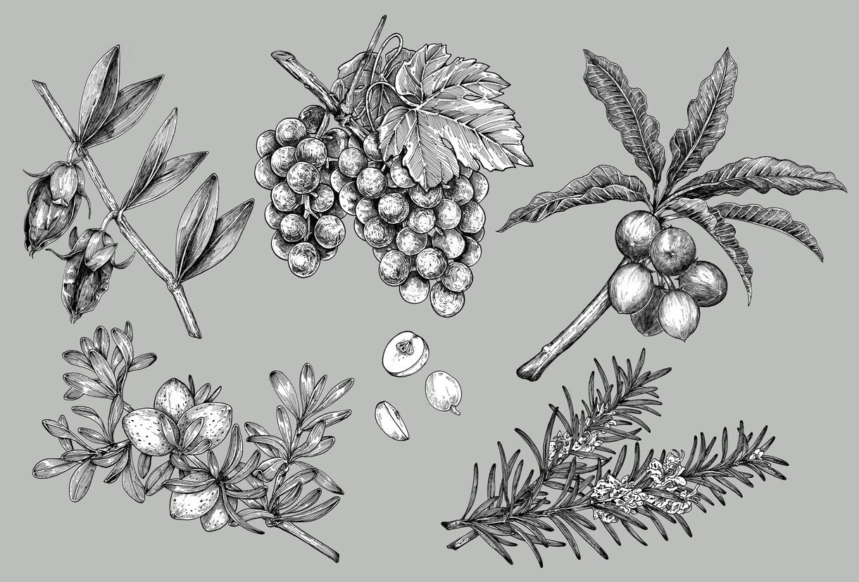 お洒落な手描き風のイラストを描きます 挿絵などに使用できそうなイラストを幅広く描きます。 イメージ1