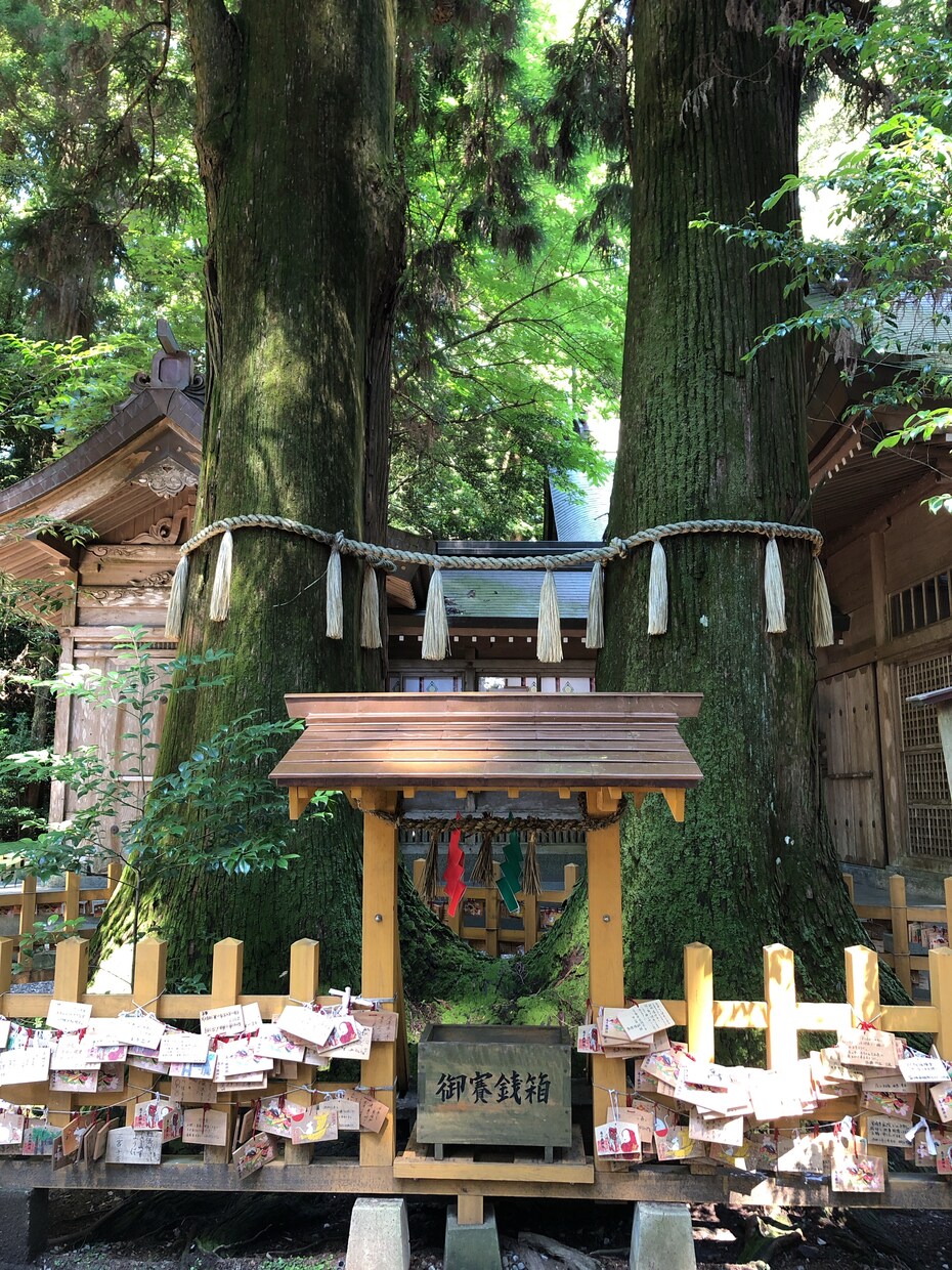 あなたの産土神社を鑑定いたします あなたの開運のお手伝いをします。 イメージ3