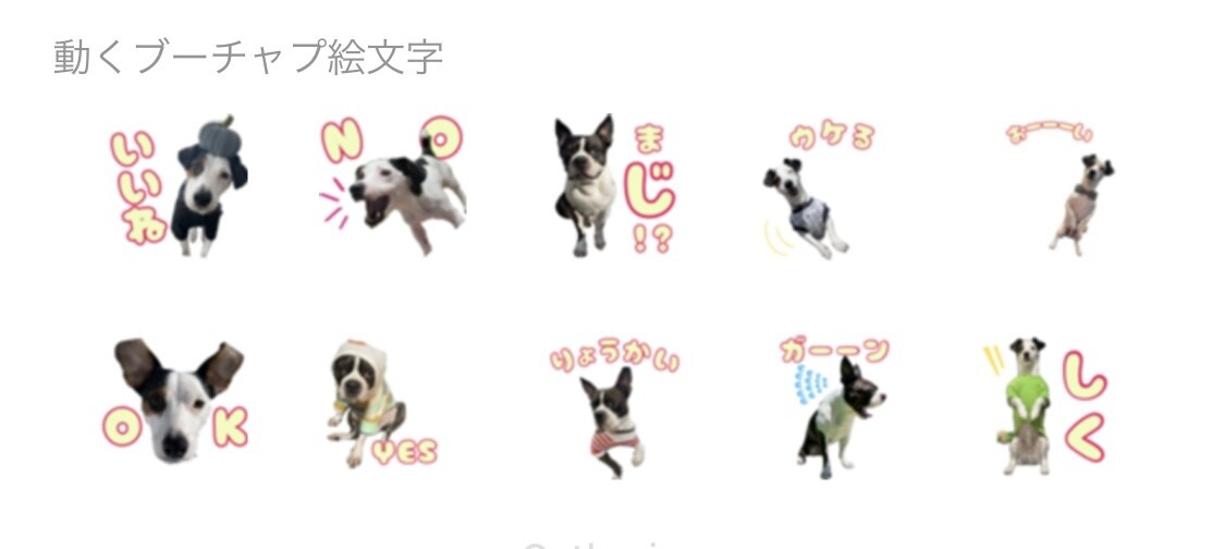 LINE 動くうちの子絵文字お作りします かわいいうちの子のお写真で、動くLINE絵文字つくっちゃお！ イメージ2