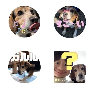 写真からオリジナルLINEスタンプ作成いたします 携帯に眠っている思い出の写真をスタンプにしませんか？ イメージ5