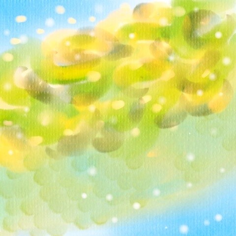 あなたを守る力をお伝えします ⭐︎これからのあなたの助けになります⭐︎ イメージ10