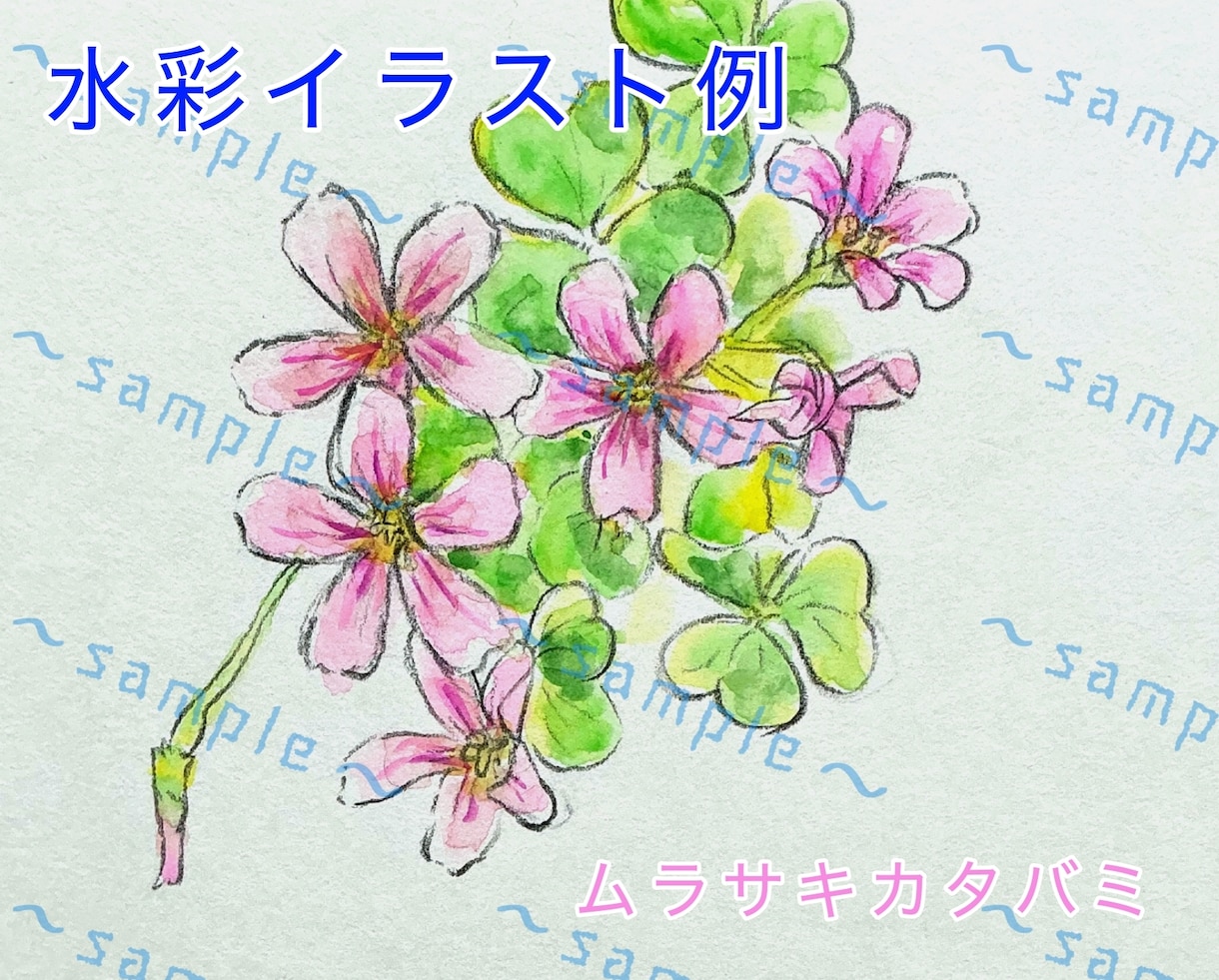 やさしい水彩で植物イラスト・SNSアイコン描きます やさしい水彩で、日常にそっと寄り添う植物イラスト イメージ1