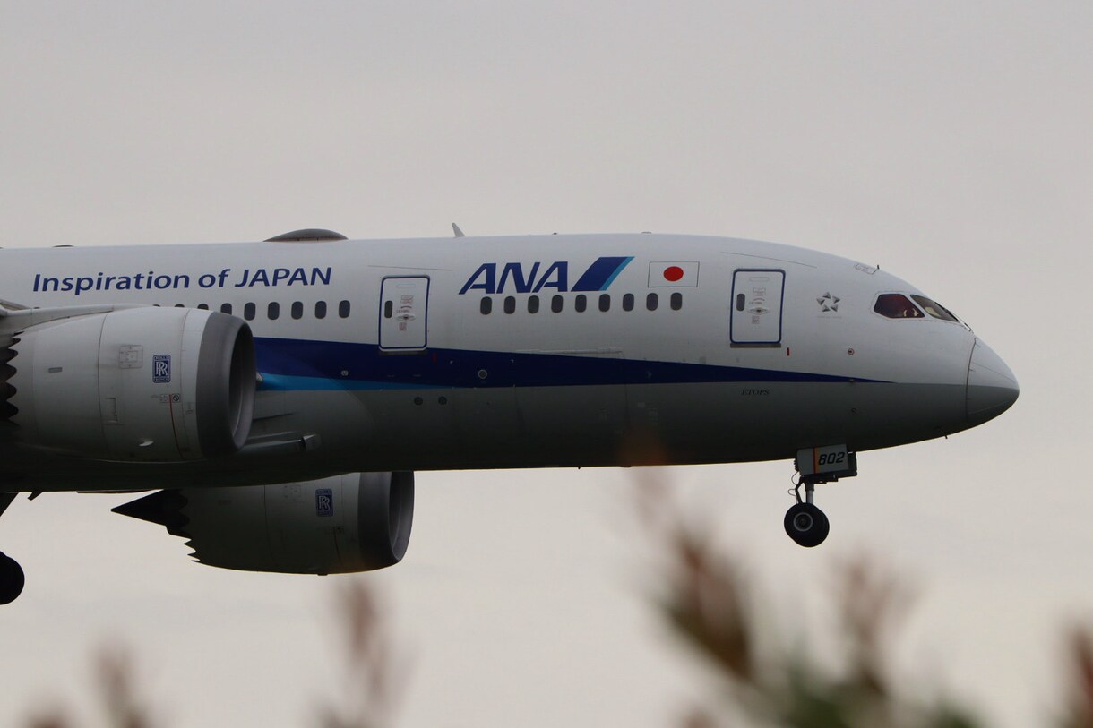 撮影した旅客機（ANA様）の写真を提供します あなただけのための飛行機写真を提供します。 イメージ1