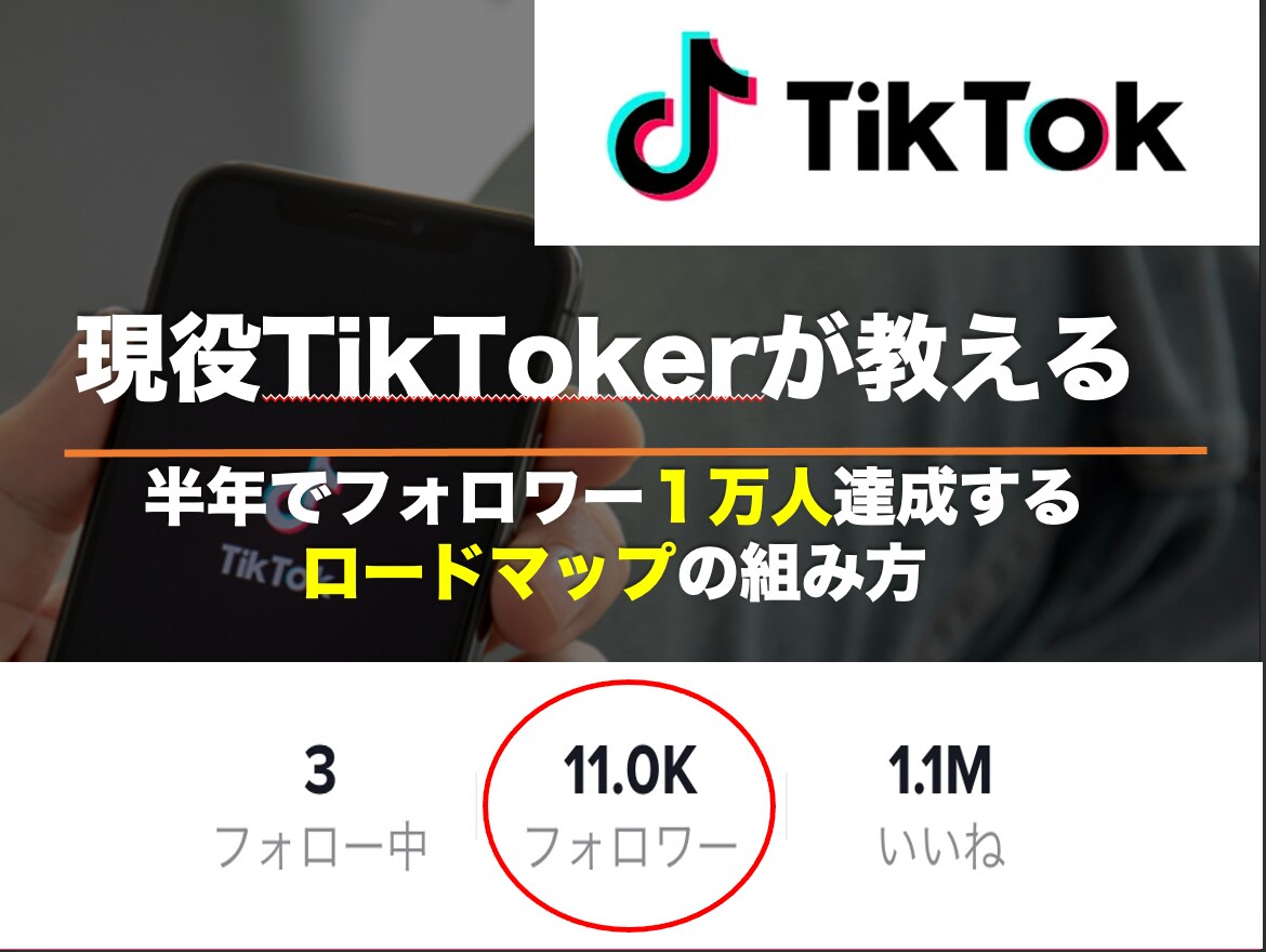 フォロワー１万人達成するロードマップ方法教えます 半年でフォロワー1万人達成した現役TikToker⭐️ イメージ1