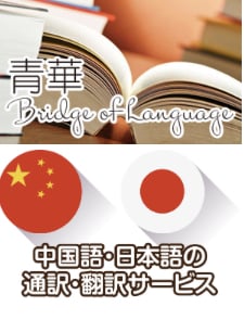 中国語⇄日本語 翻訳・文章の添削致します プロによる通訳・翻訳・ナレーション等の業務をお手伝い致します イメージ2