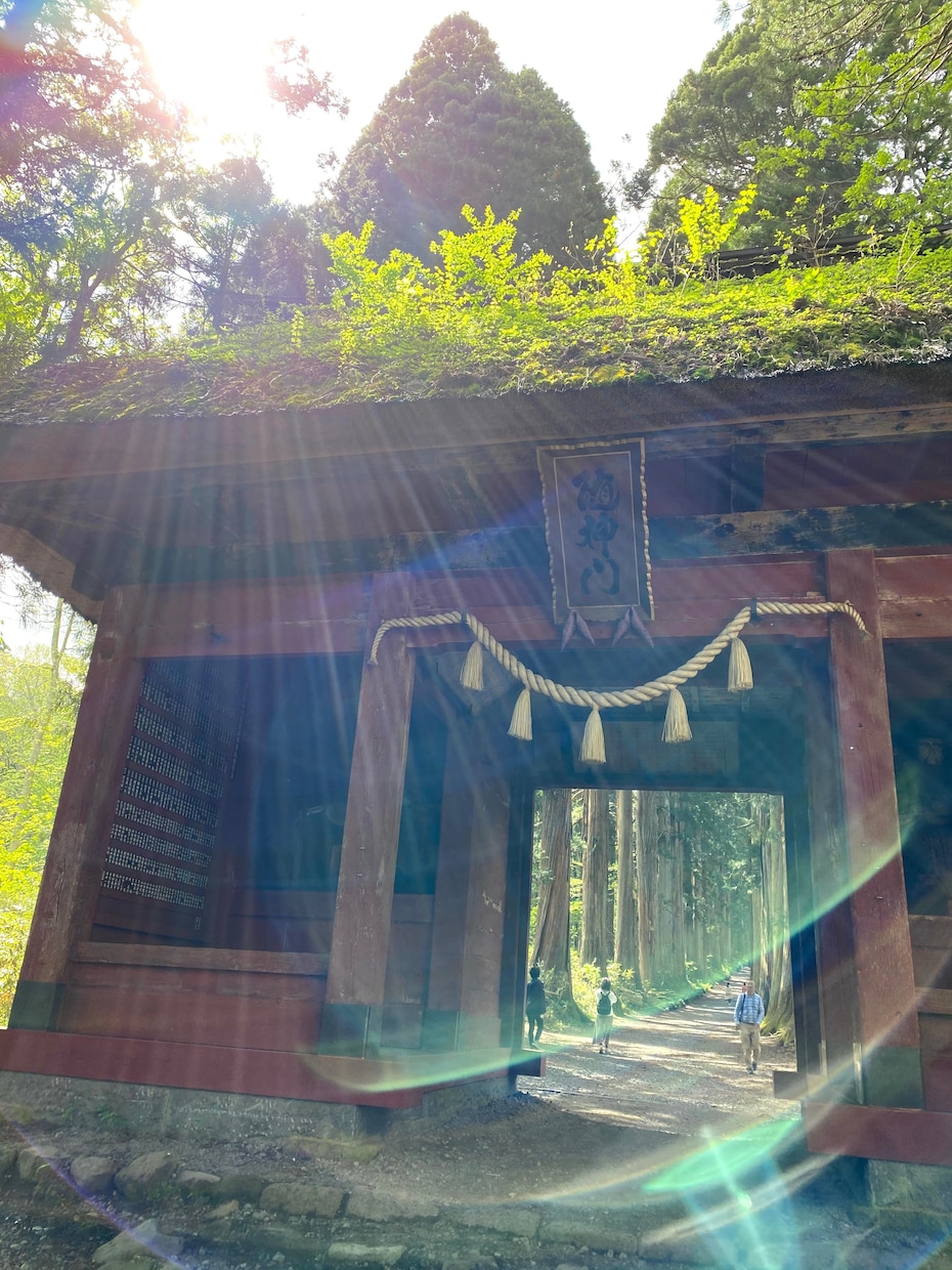 あなたが《人生の舵》舵を取れるように相談にのります 『倖せな未来の創造』に向けて、一緒に伴走します⭐︎ イメージ6