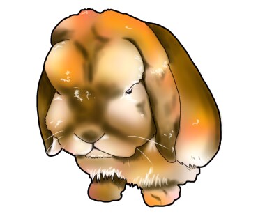 ペット写真からLINEスタンプ作成します 大事なペットのお写真をイラスト化します。 イメージ3