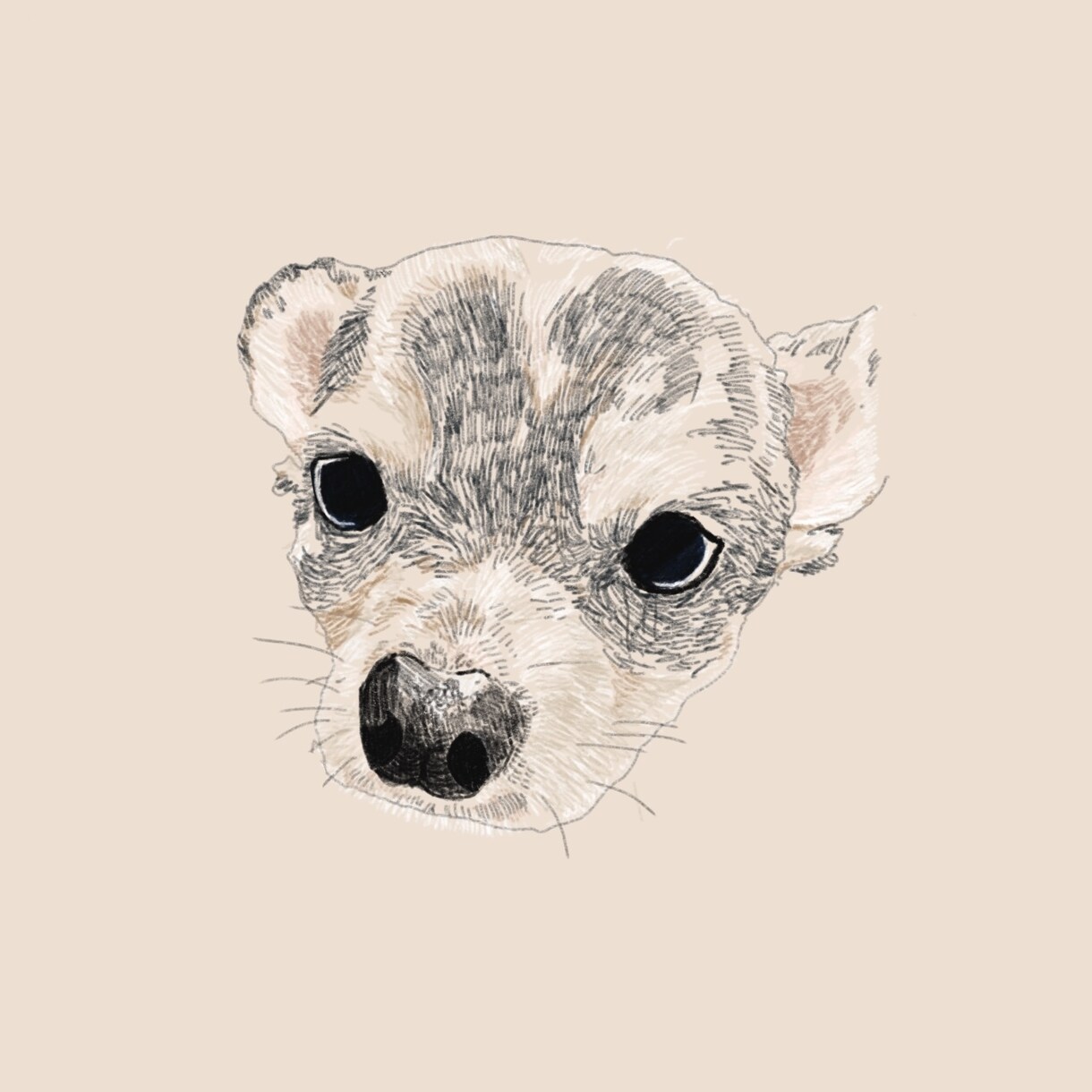 あなただけのペットの絵を描きます ペットの魅力を形に残すお手伝いをさせてください。 イメージ2