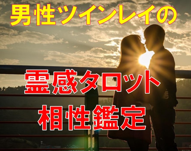 ツインレイ神霊感タロット【悩み】霊感霊視占います ツインレイ/ツインソウル/不倫復縁/二人の未来/彼の気持ち/ イメージ2