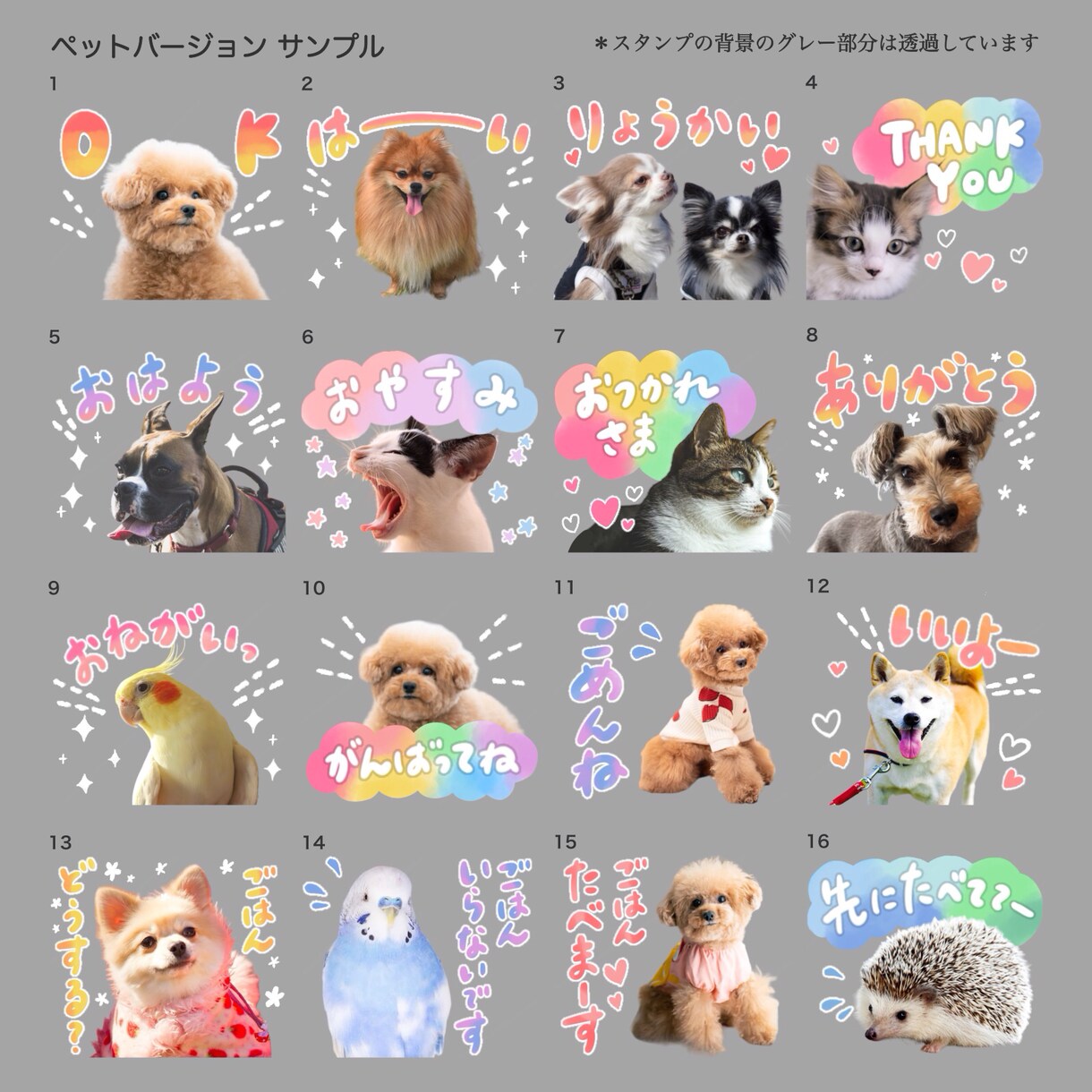 ペットのお写真でカラフルなLINEスタンプ作ります 犬、猫、エキゾチックアニマル、どんな種類でも大歓迎！ イメージ4